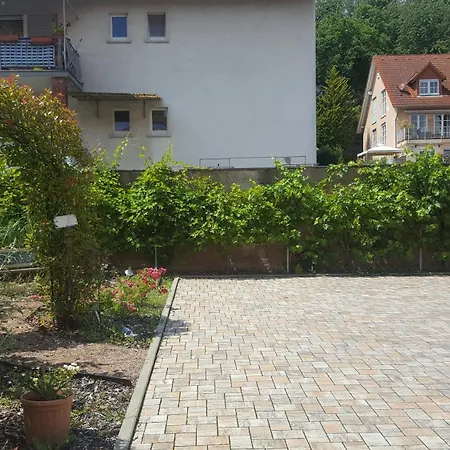 Renatus * Obernburg am Main
